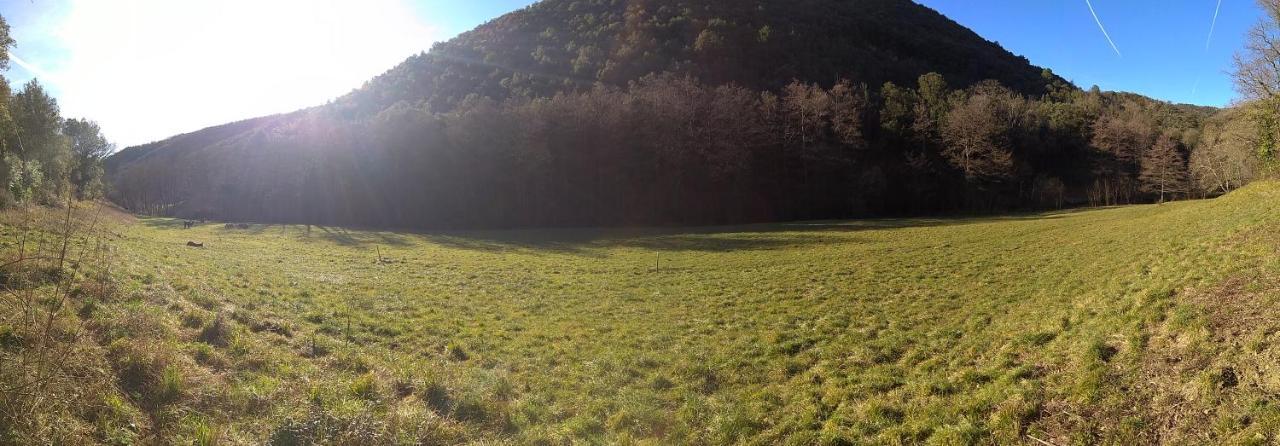 Chambre Cevennes: Piscine, Lamas, Riviere Cros  Exterior photo
