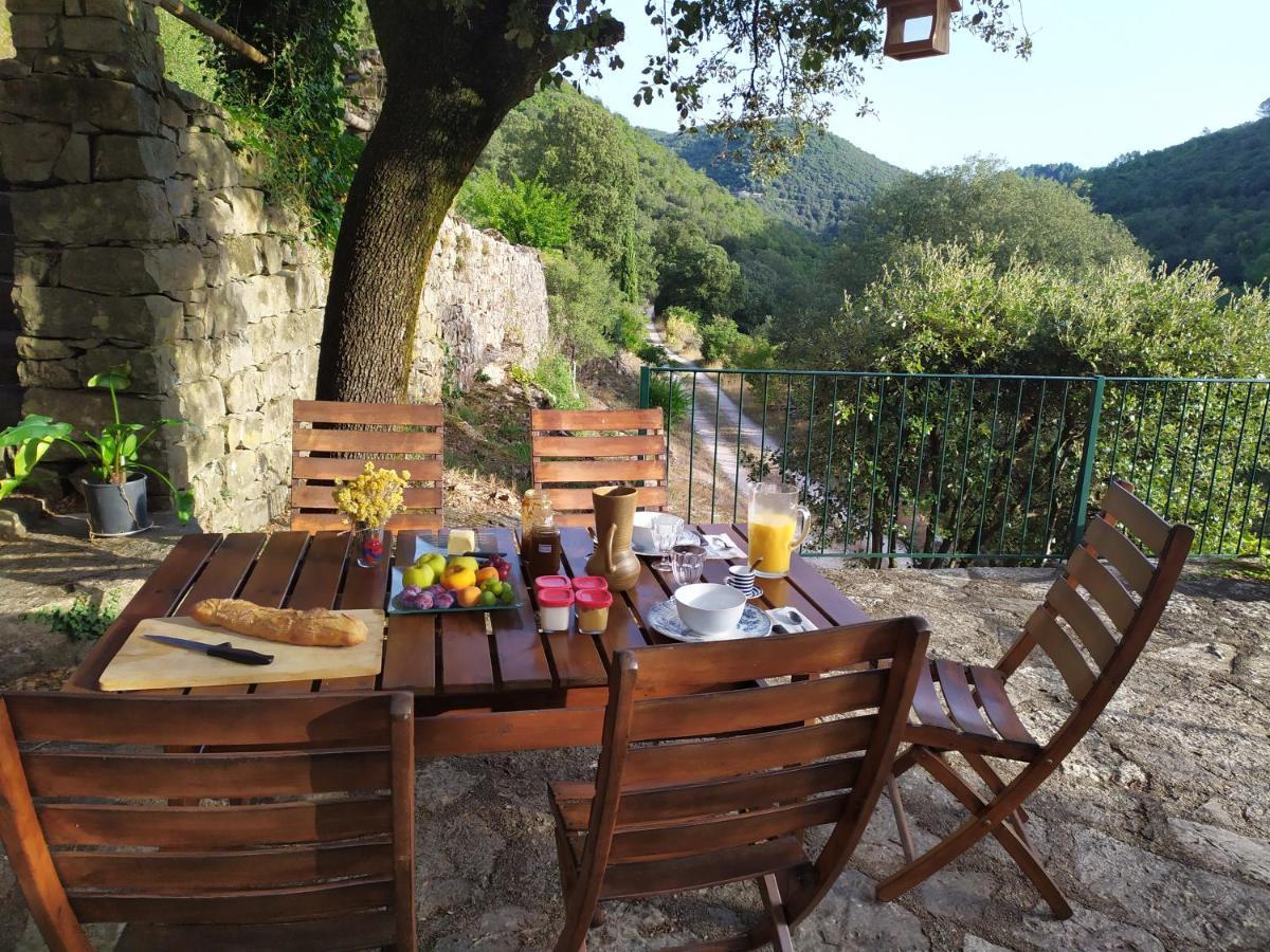 Chambre Cevennes: Piscine, Lamas, Riviere Cros  Exterior photo
