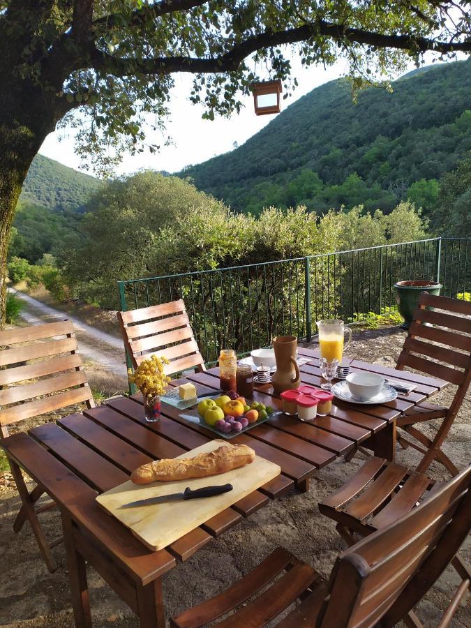 Chambre Cevennes: Piscine, Lamas, Riviere Cros  Exterior photo